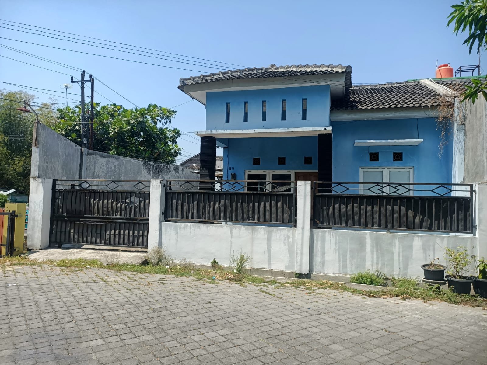 Firefly 20231018153332 copy