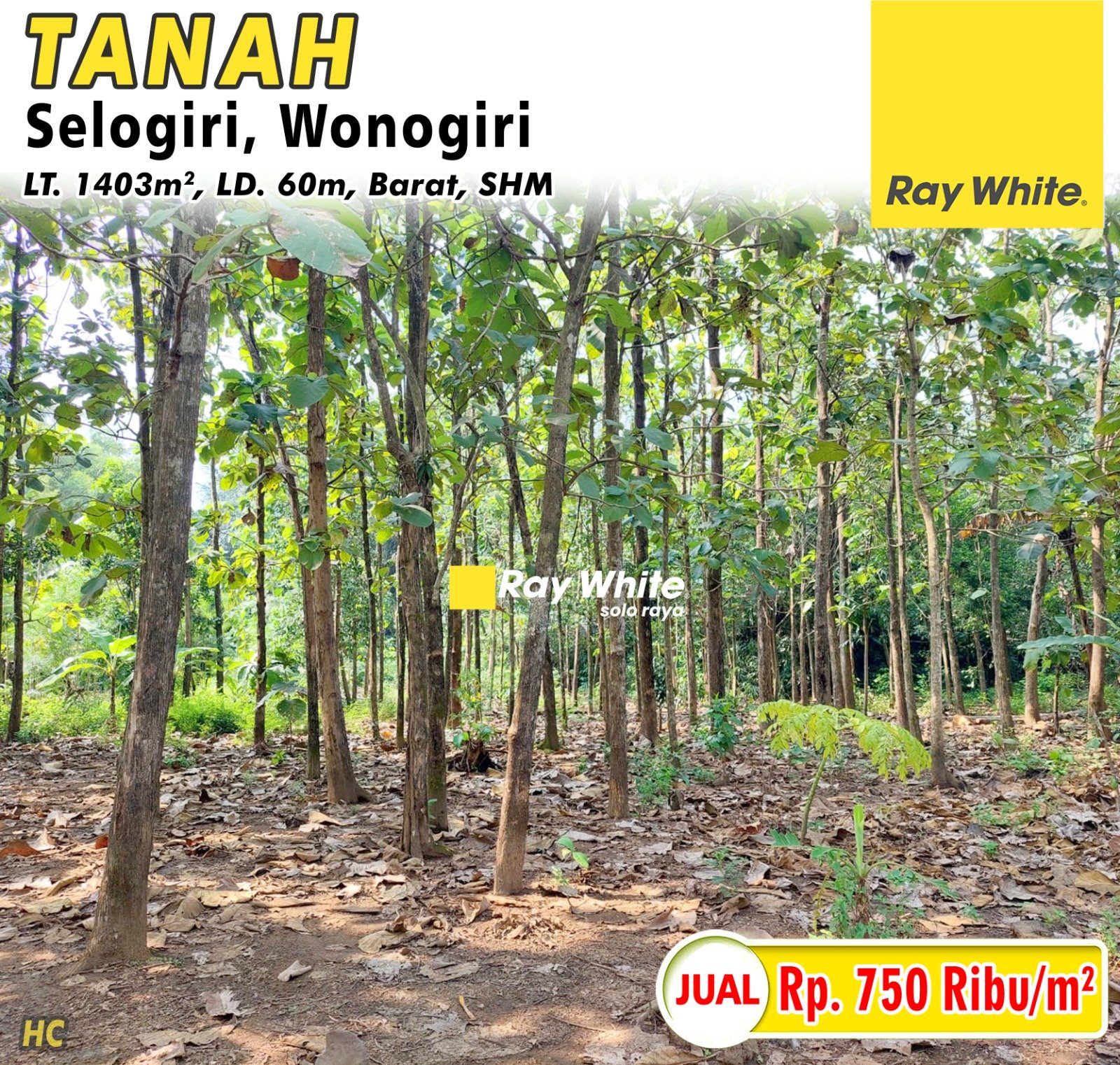 Hari CS-Tanah jual kaliancar selogiri wonogiri. SHM 5118. HRg 750Rb per m2