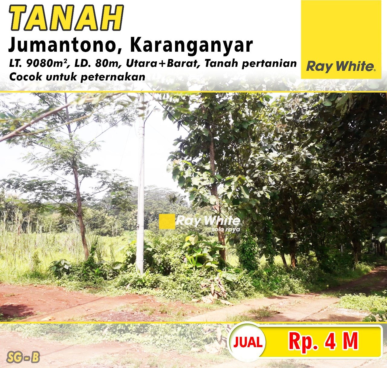 Sugiman-Tanah jual ngunut jumantono karanganyar. Hrg 4M. Grade B (pra listing)