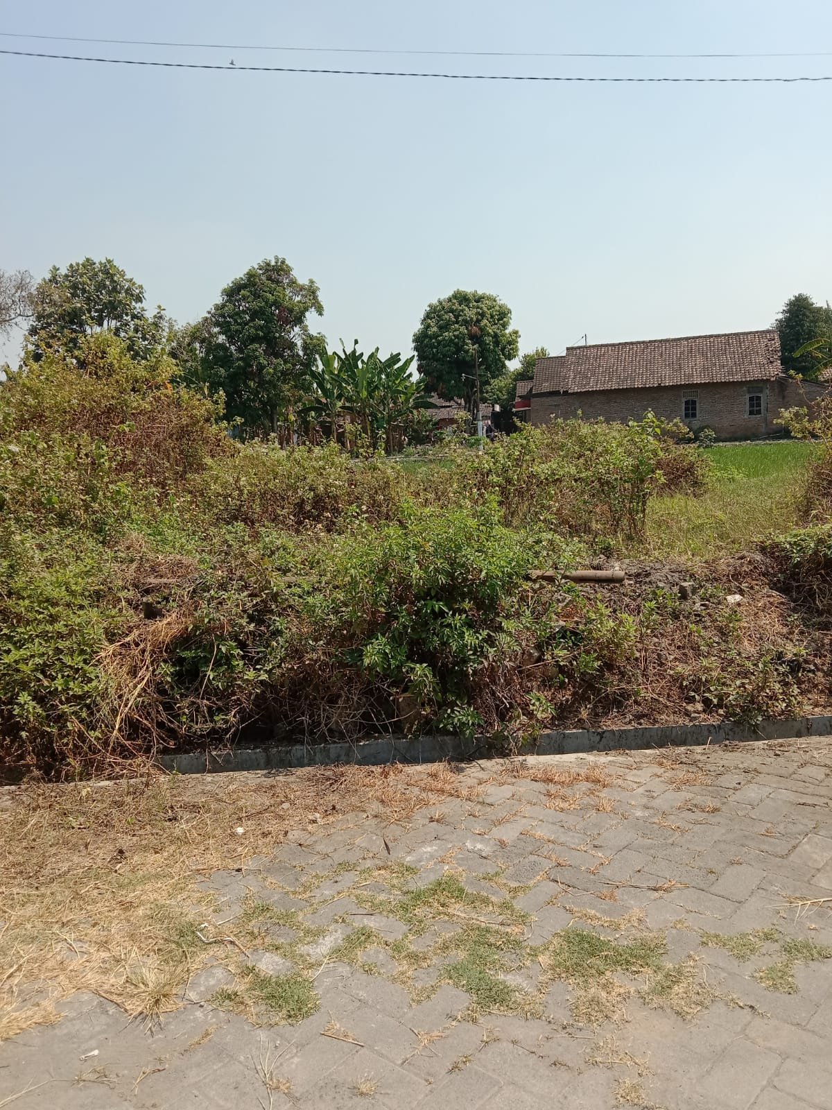 Tanah gumpang kartasura sukoharjo (3)