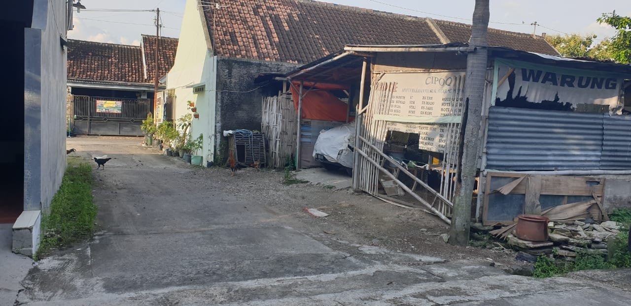 WhatsApp Image 2021-03-27 at 14.10.26