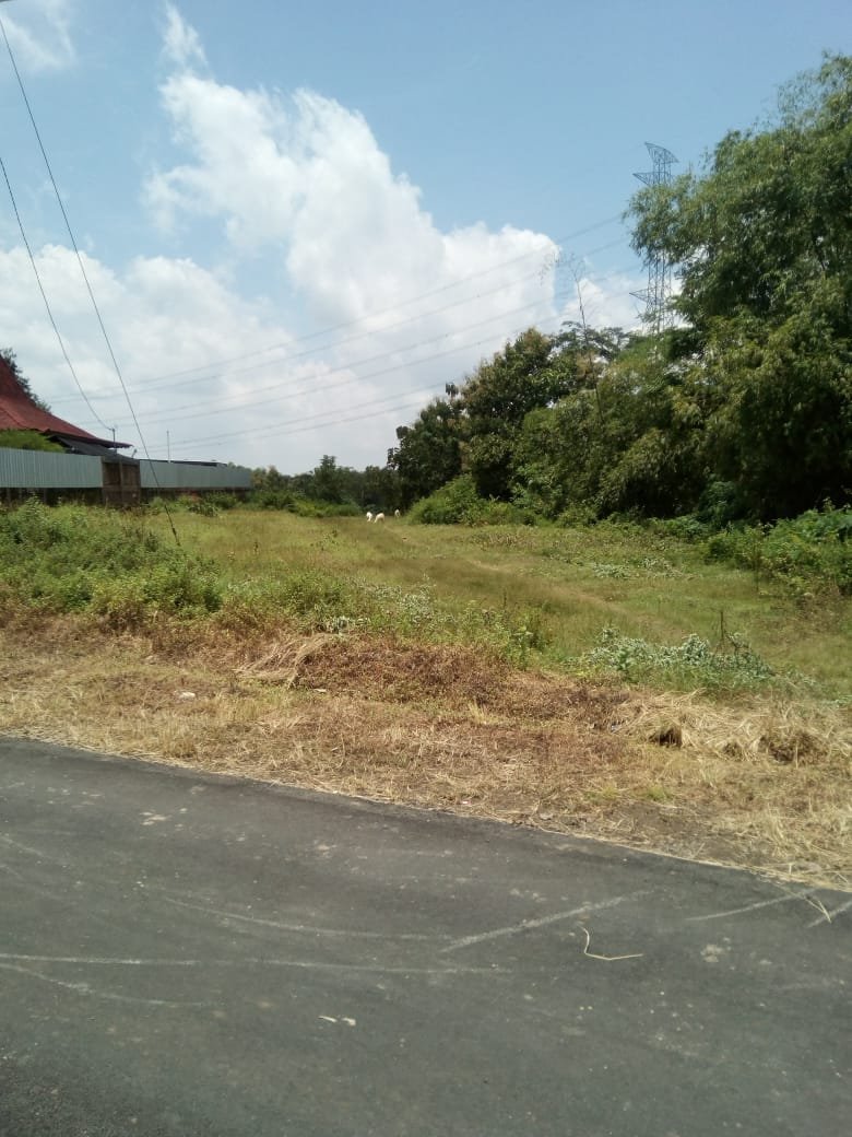 WhatsApp Image 2021-05-17 at 13.24.04 (1)