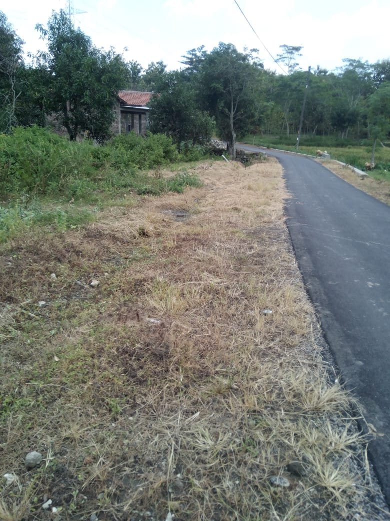 WhatsApp Image 2021-05-17 at 13.24.04