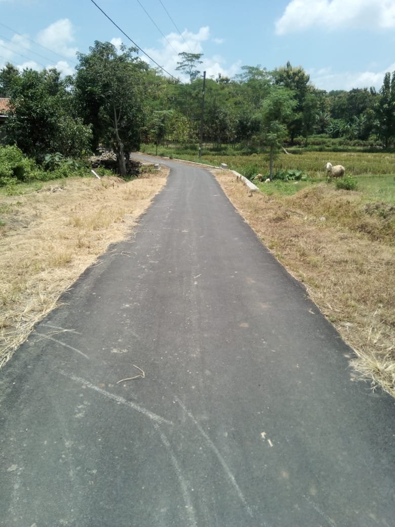 WhatsApp Image 2021-05-17 at 13.24.06