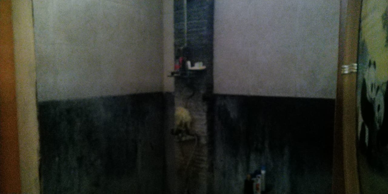 WhatsApp Image 2021-06-17 at 12.19.30 (2)