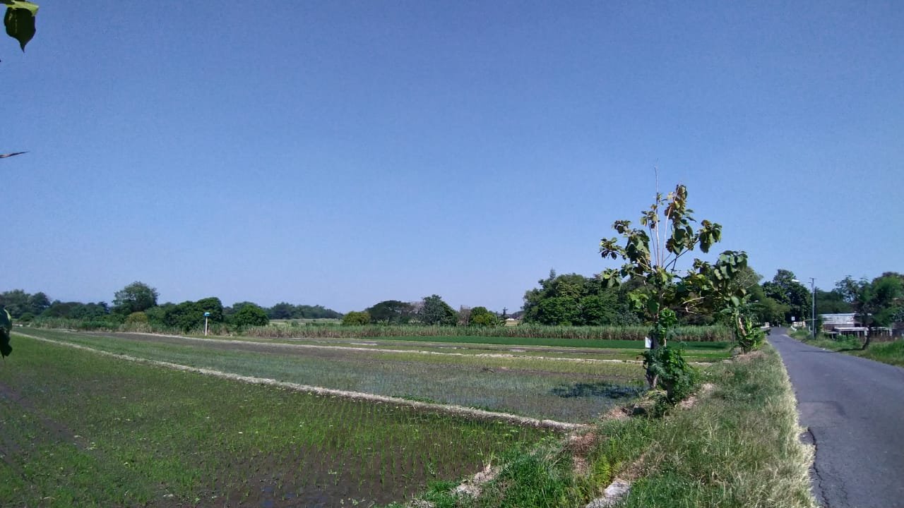 WhatsApp Image 2021-07-24 at 10.12.41 (1)