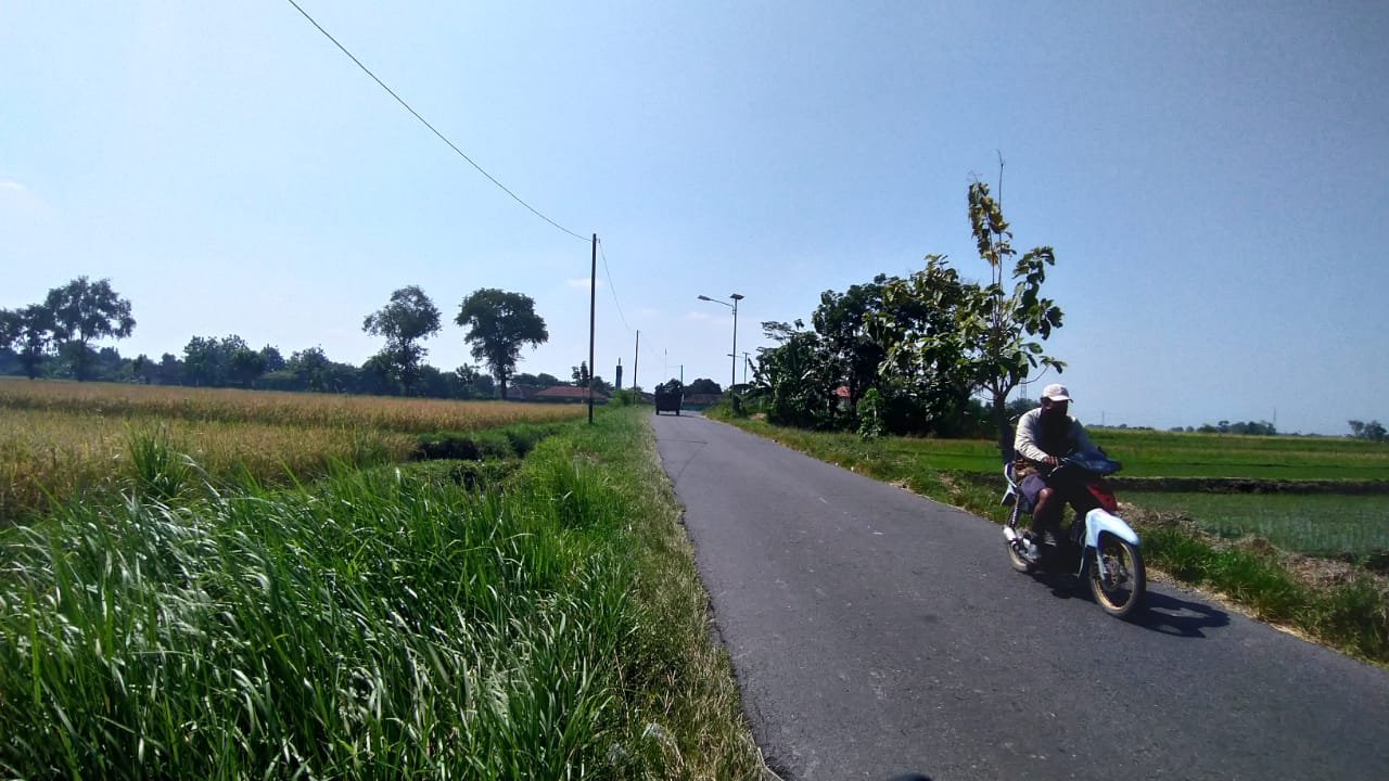 WhatsApp Image 2021-07-24 at 10.12.41