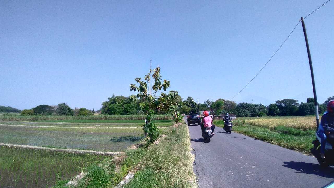 WhatsApp Image 2021-07-24 at 10.12.42