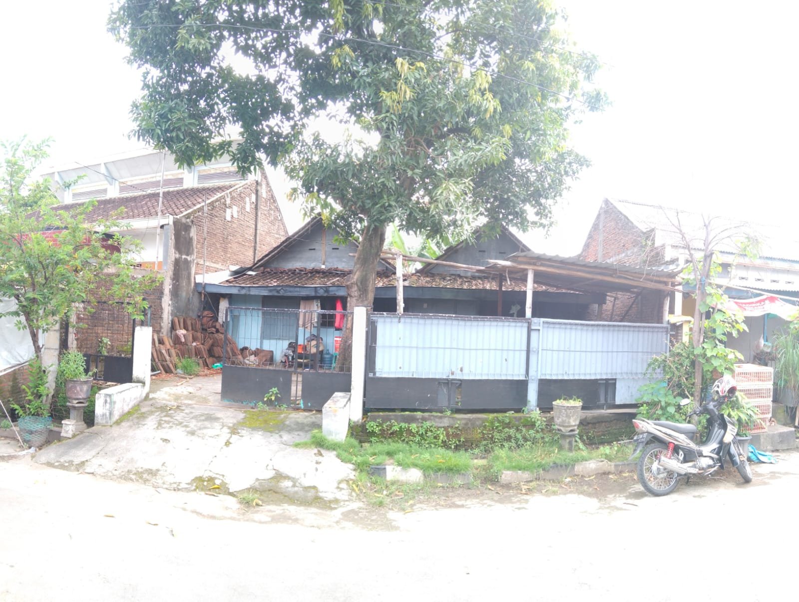 WhatsApp Image 2022-01-04 at 12.41.05 PM