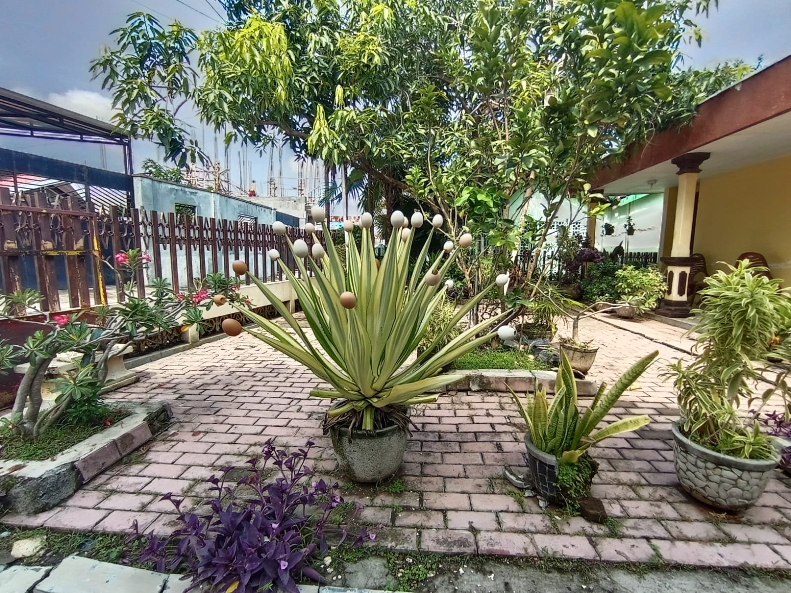 WhatsApp Image 2022-01-13 at 3.24.58 PM (1)