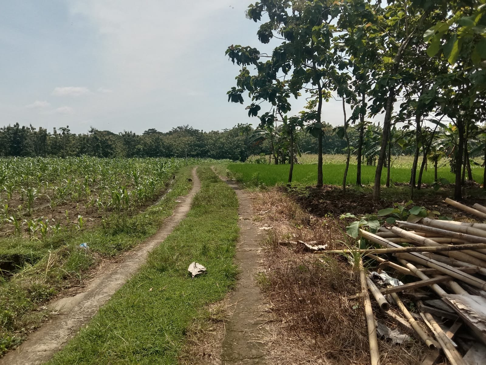 WhatsApp Image 2022-01-27 at 1.43.22 PM