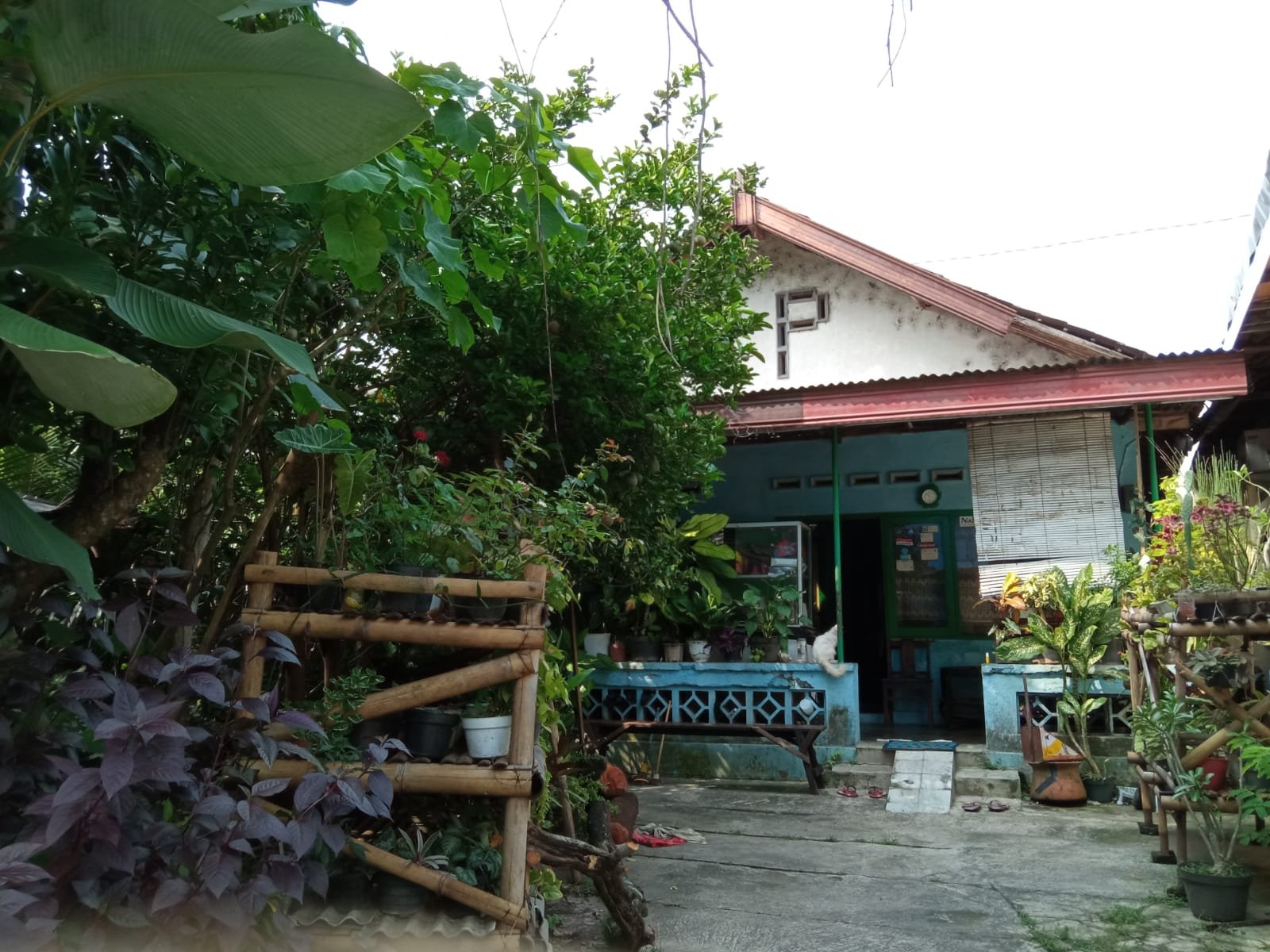 WhatsApp Image 2022-02-08 at 2.40.09 PM (1)