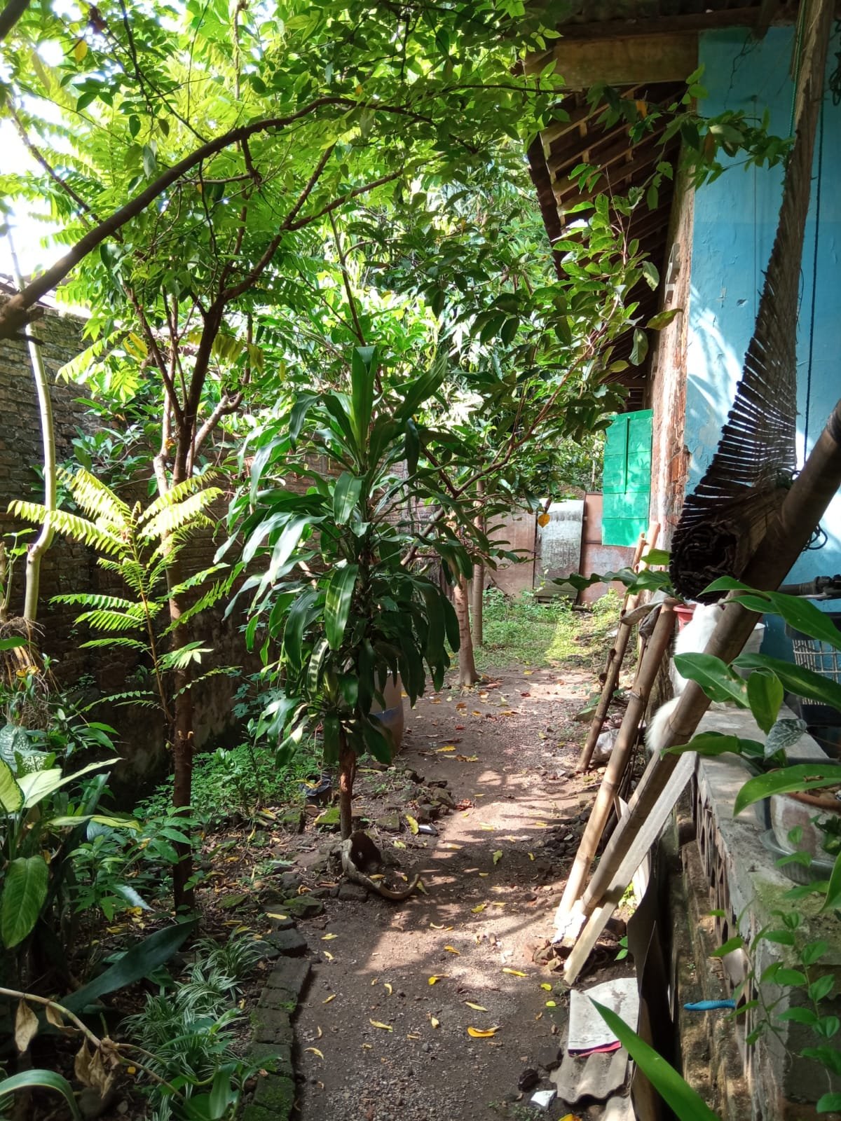 WhatsApp Image 2022-02-08 at 2.40.09 PM (2)