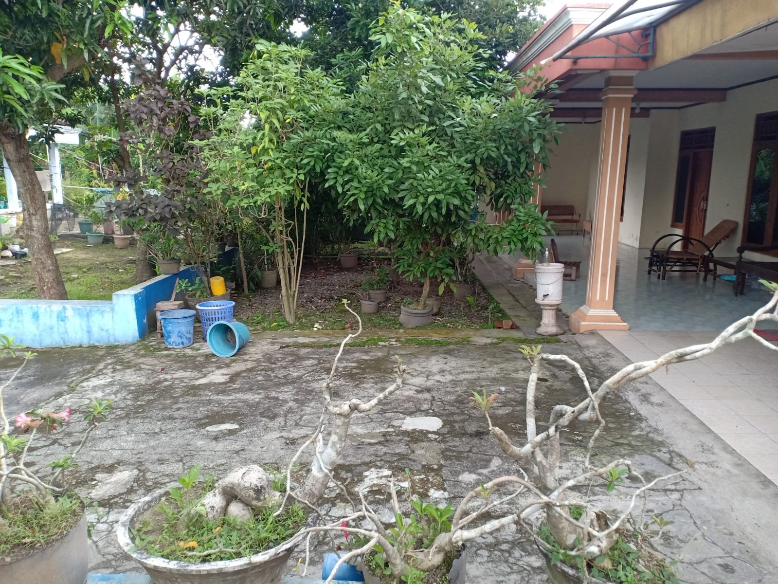 WhatsApp Image 2022-06-04 at 4.04.12 PM