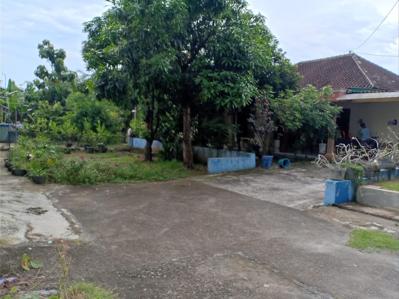 WhatsApp Image 2022-06-04 at 4.06.49 PM