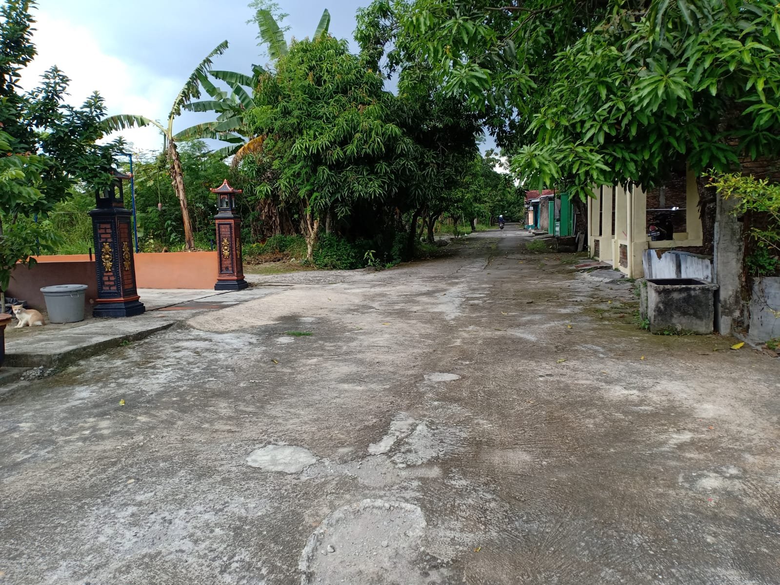 WhatsApp Image 2022-06-04 at 4.07.05 PM (1)