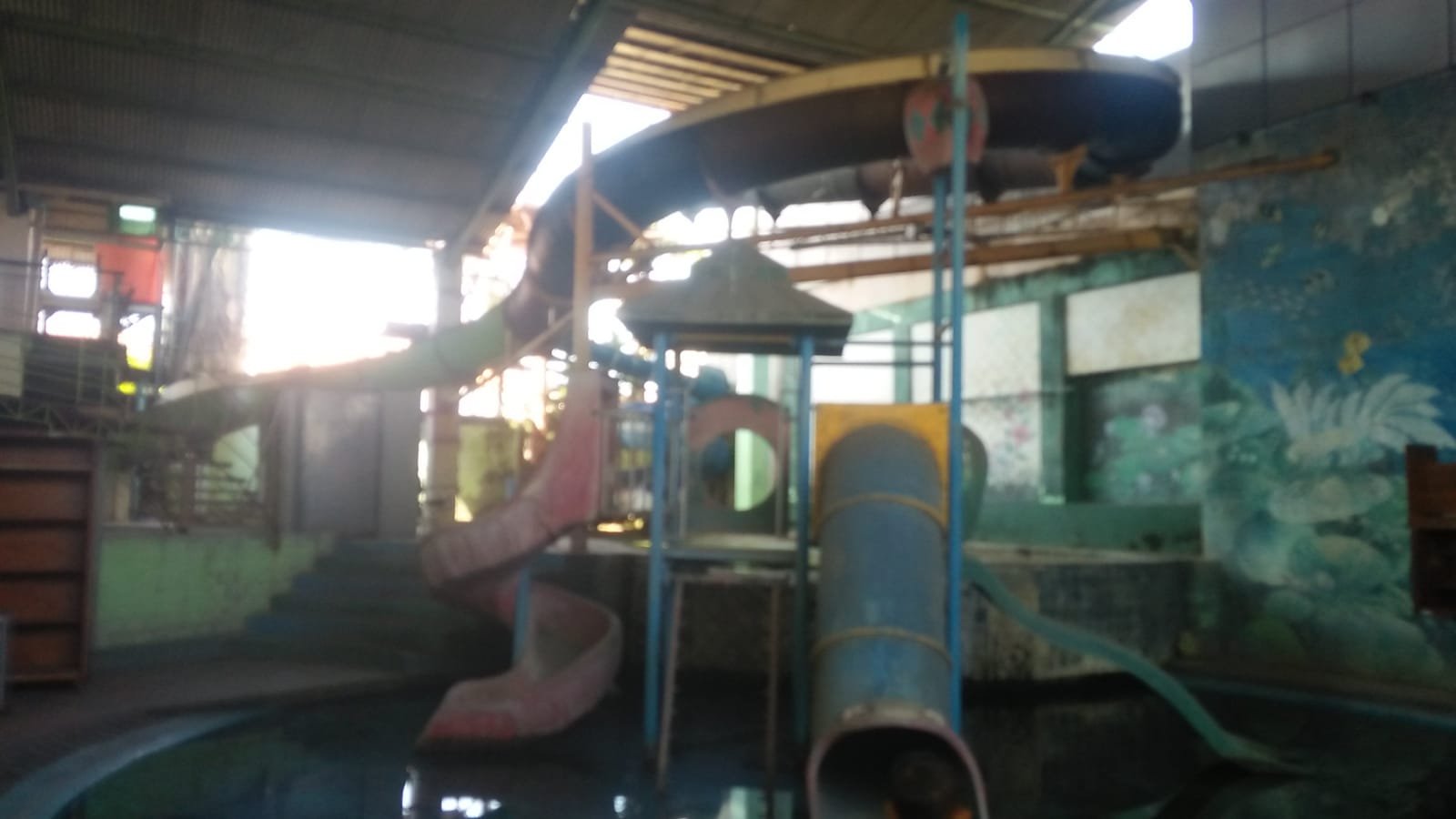 WhatsApp Image 2022-07-01 at 09.22.27