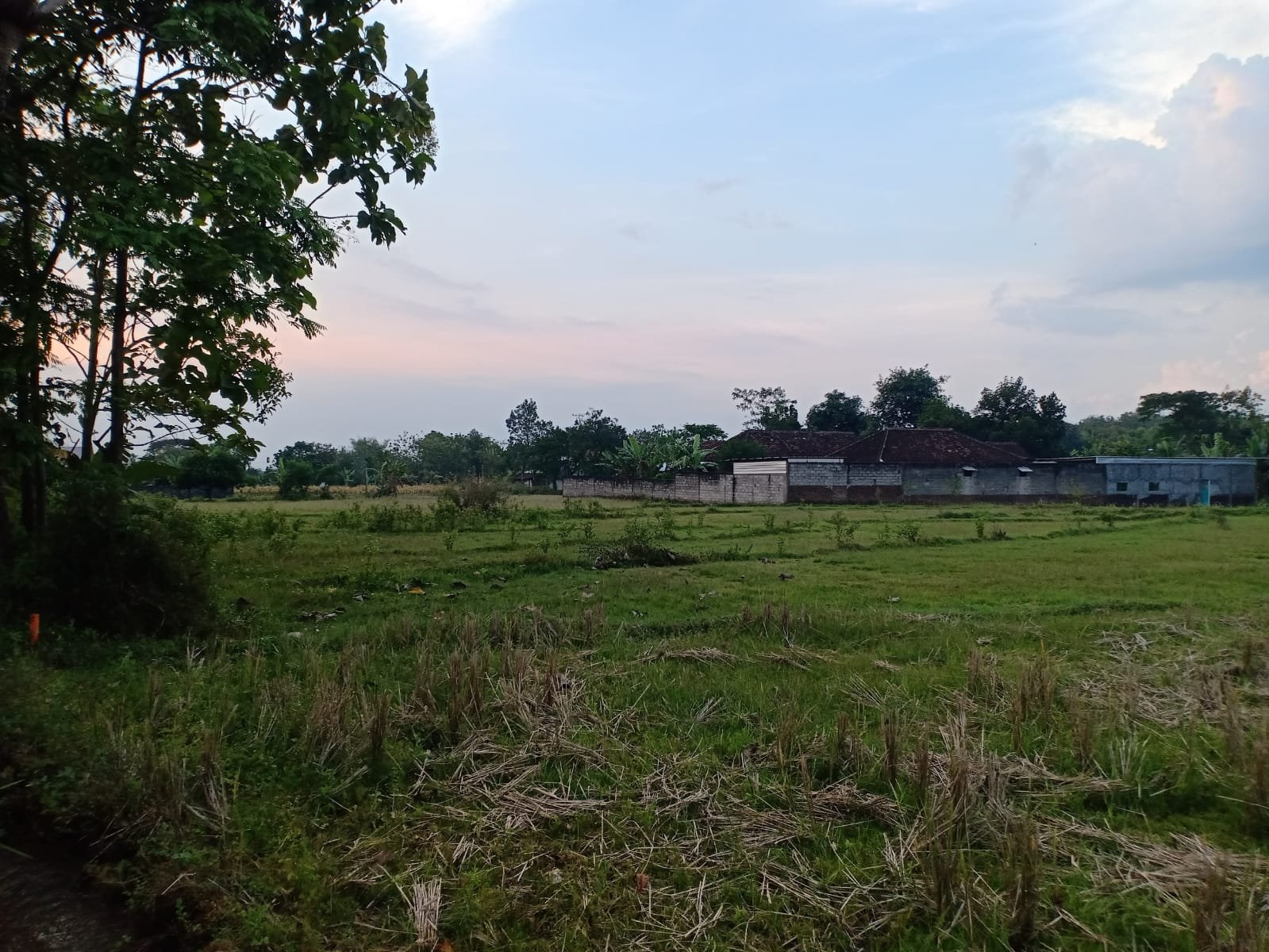 WhatsApp Image 2022-09-23 at 7.19.29 AM