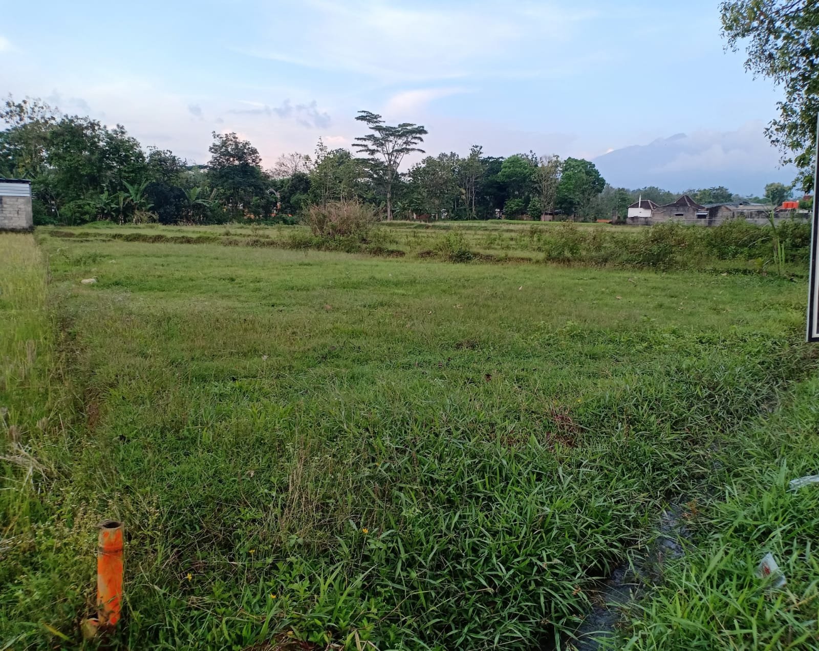 WhatsApp Image 2022-09-23 at 7.19.47 AM