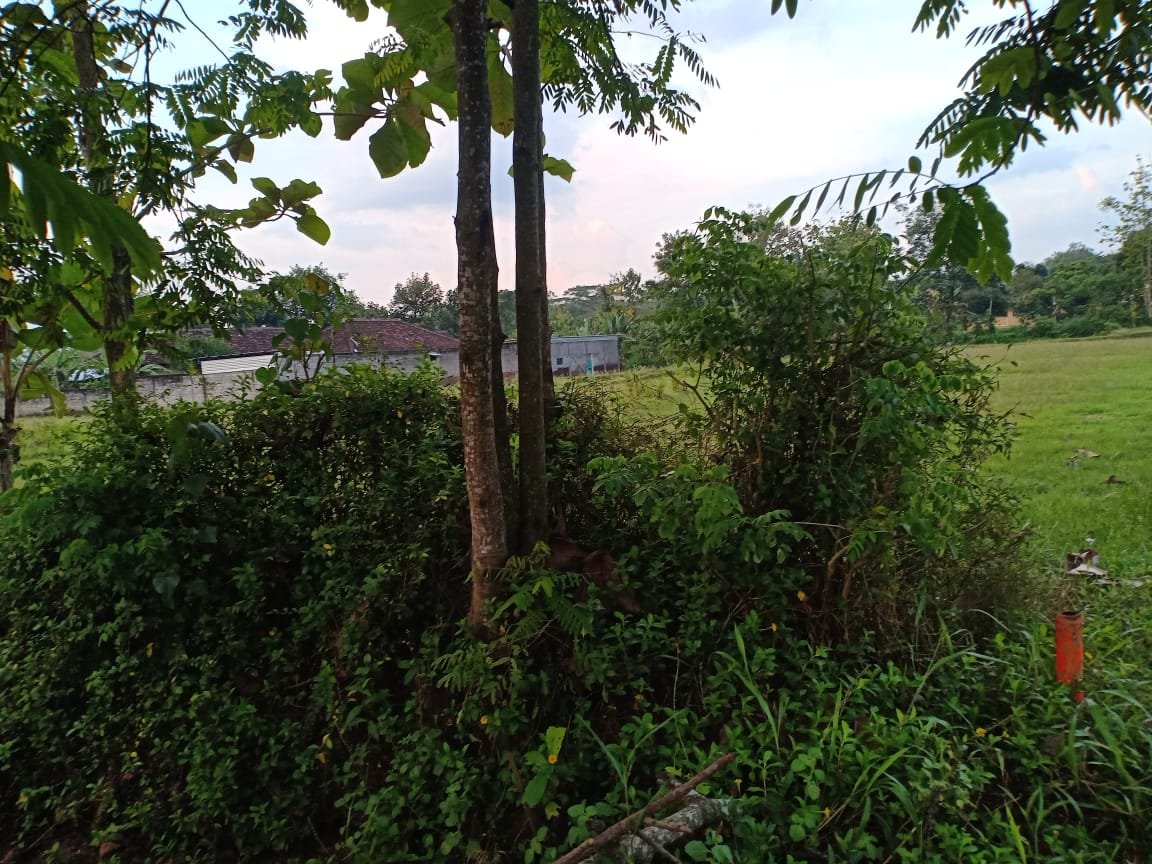 WhatsApp Image 2022-09-23 at 7.21.23 AM