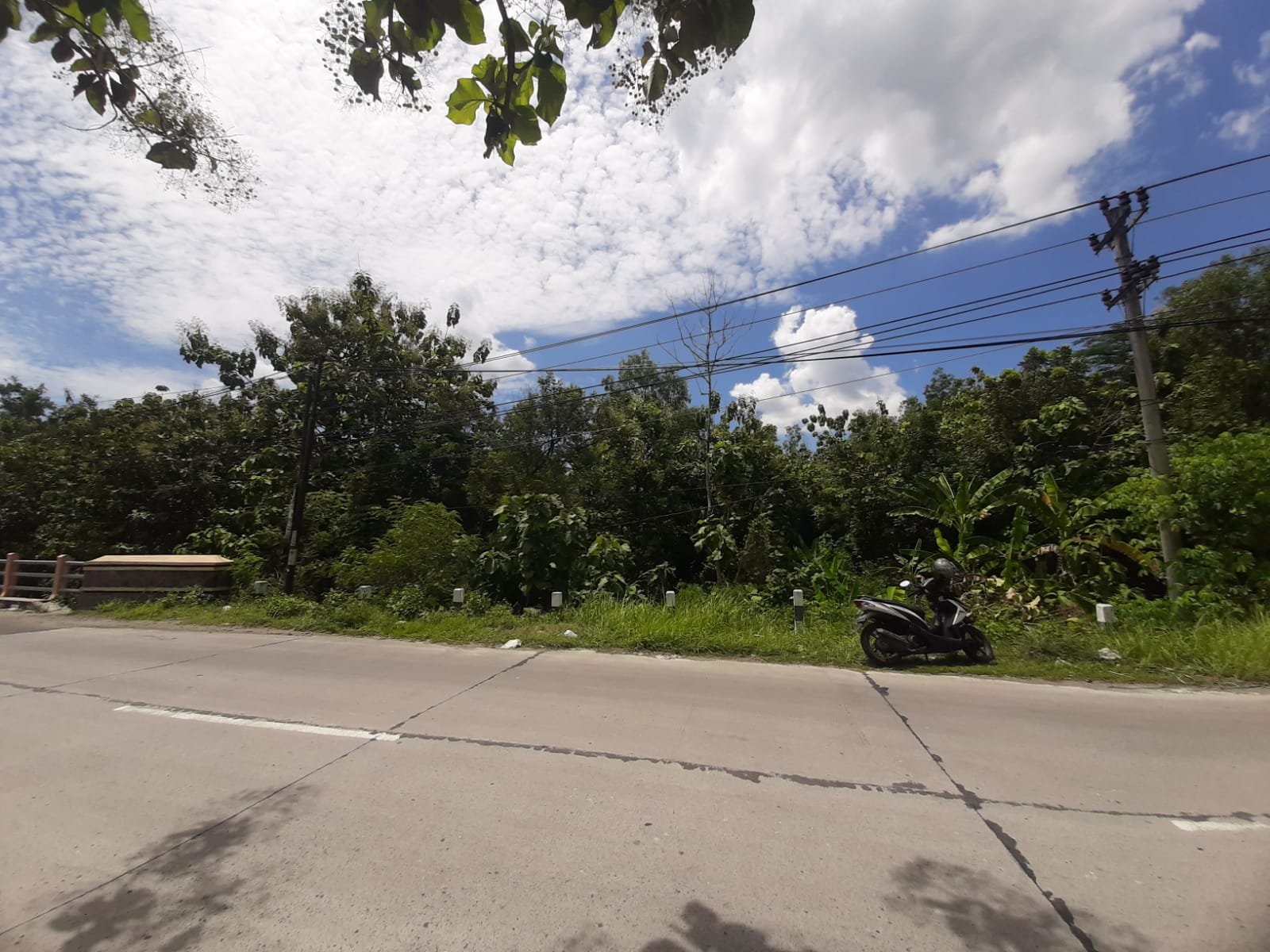 WhatsApp Image 2022-12-17 at 18.51.05