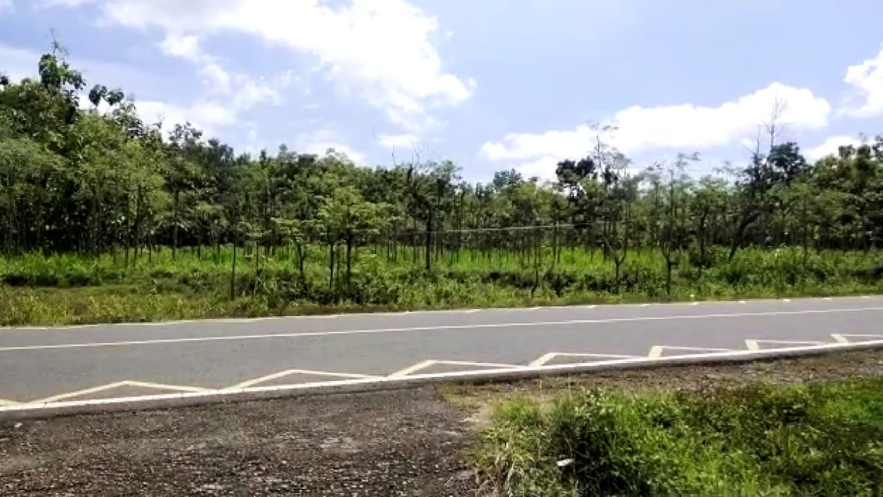 WhatsApp Image 2023-01-21 at 09.34.12