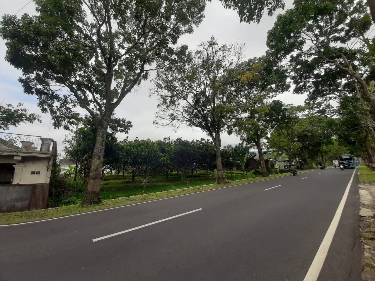 WhatsApp Image 2023-02-25 at 17.34.52