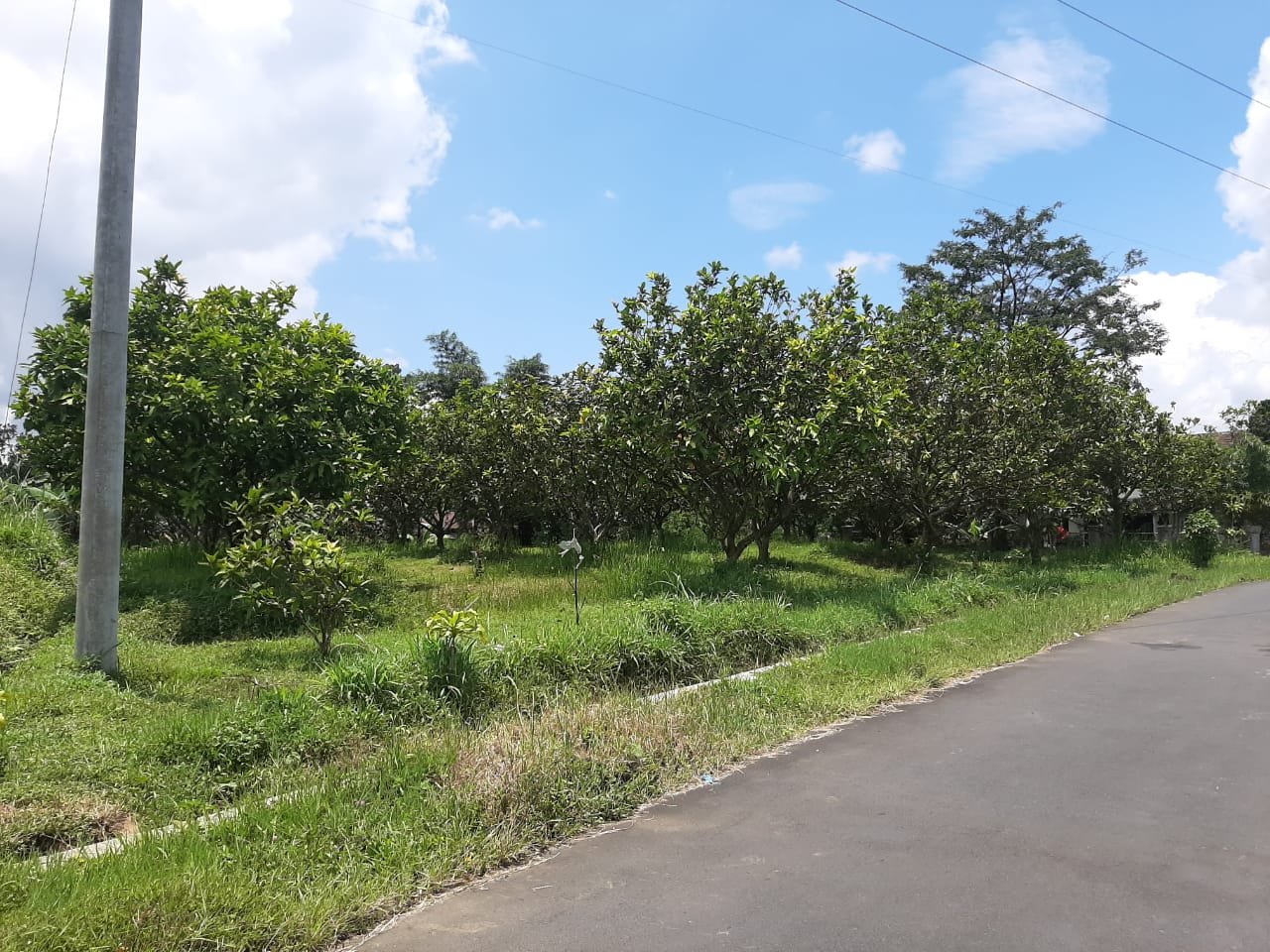 WhatsApp Image 2023-02-25 at 17.37.21 (1)