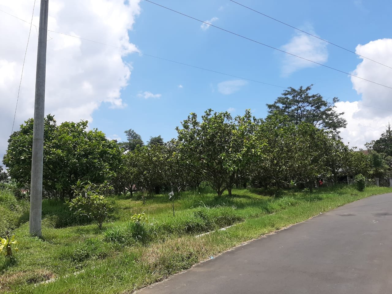 WhatsApp Image 2023-02-25 at 17.37.21