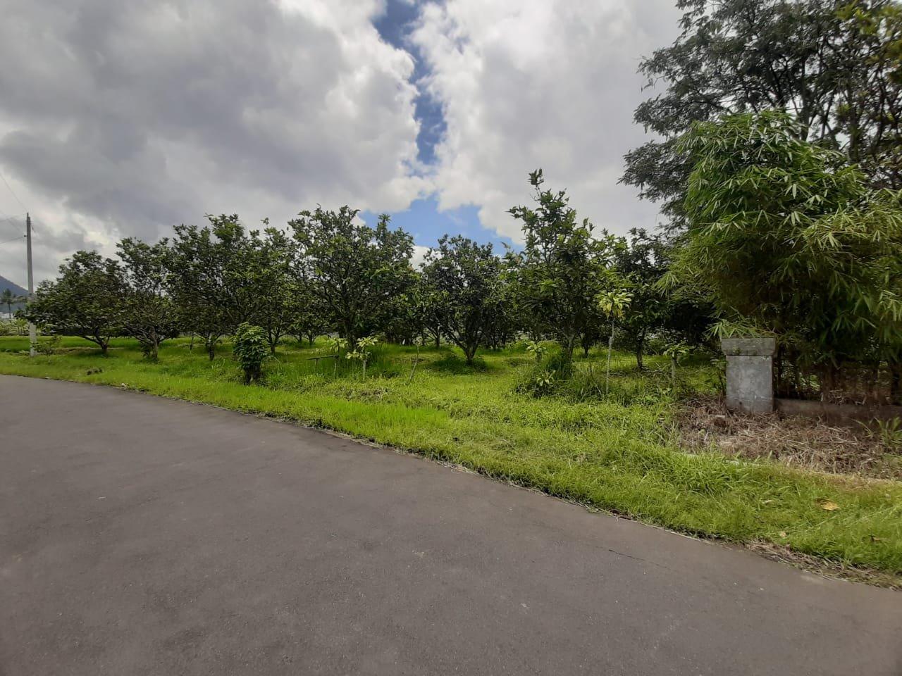 WhatsApp Image 2023-02-25 at 17.37.22