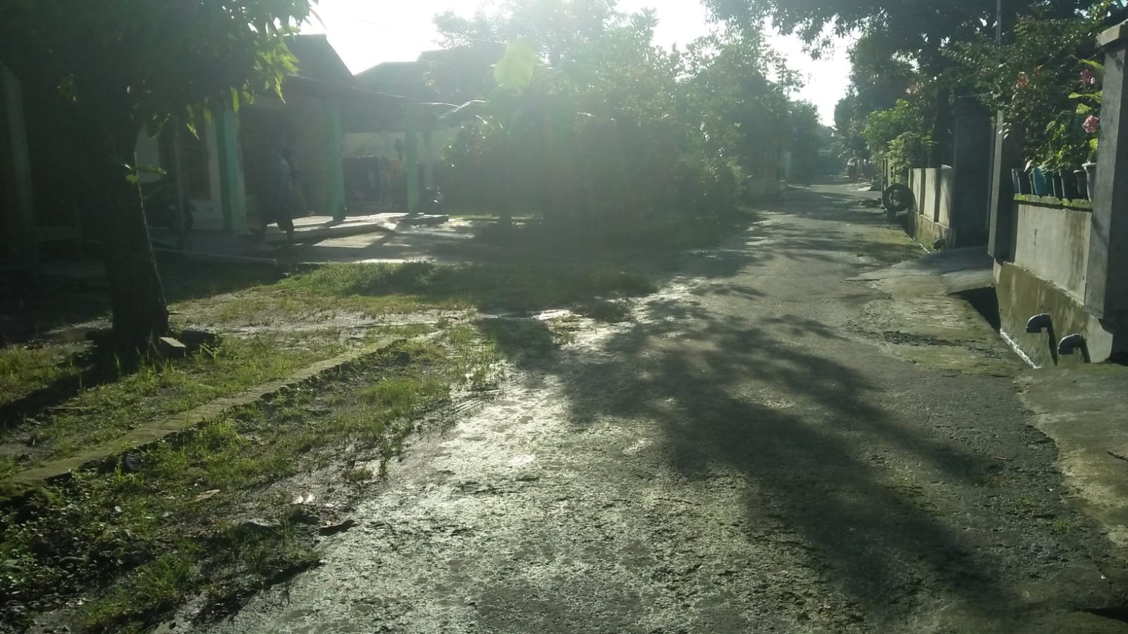 WhatsApp Image 2023-03-03 at 14.43.35