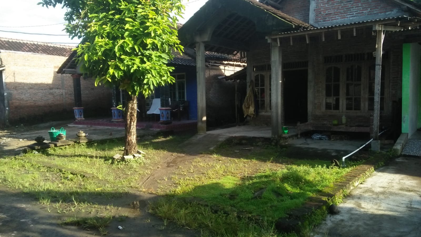 WhatsApp Image 2023-03-03 at 14.43.36