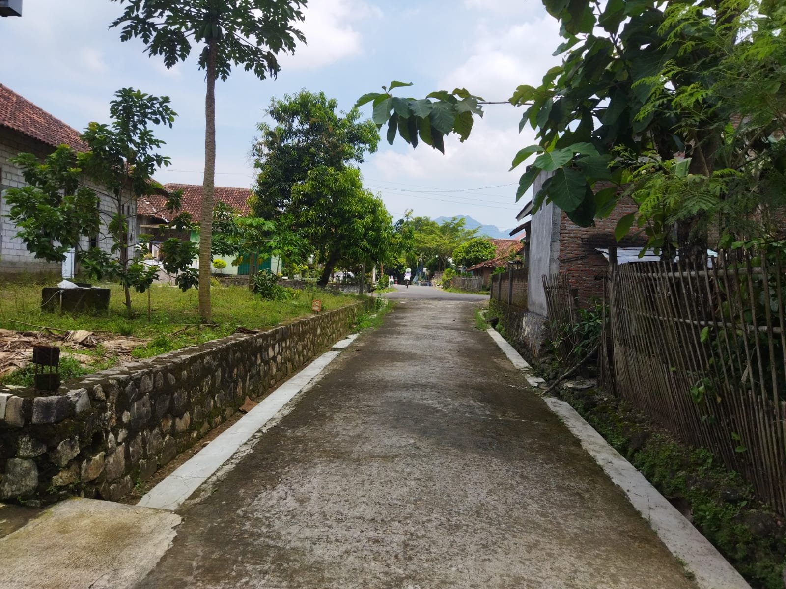 WhatsApp Image 2023-03-31 at 14.24.26 (1)