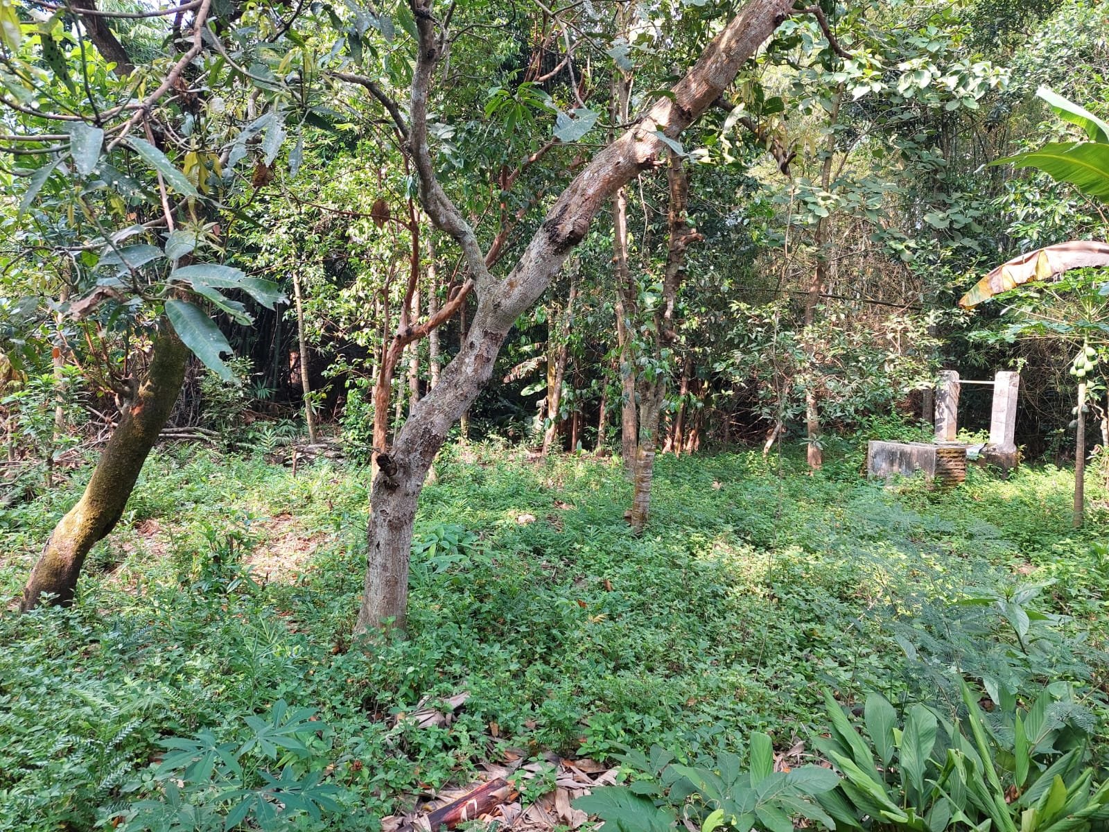 WhatsApp Image 2023-03-31 at 14.28.00