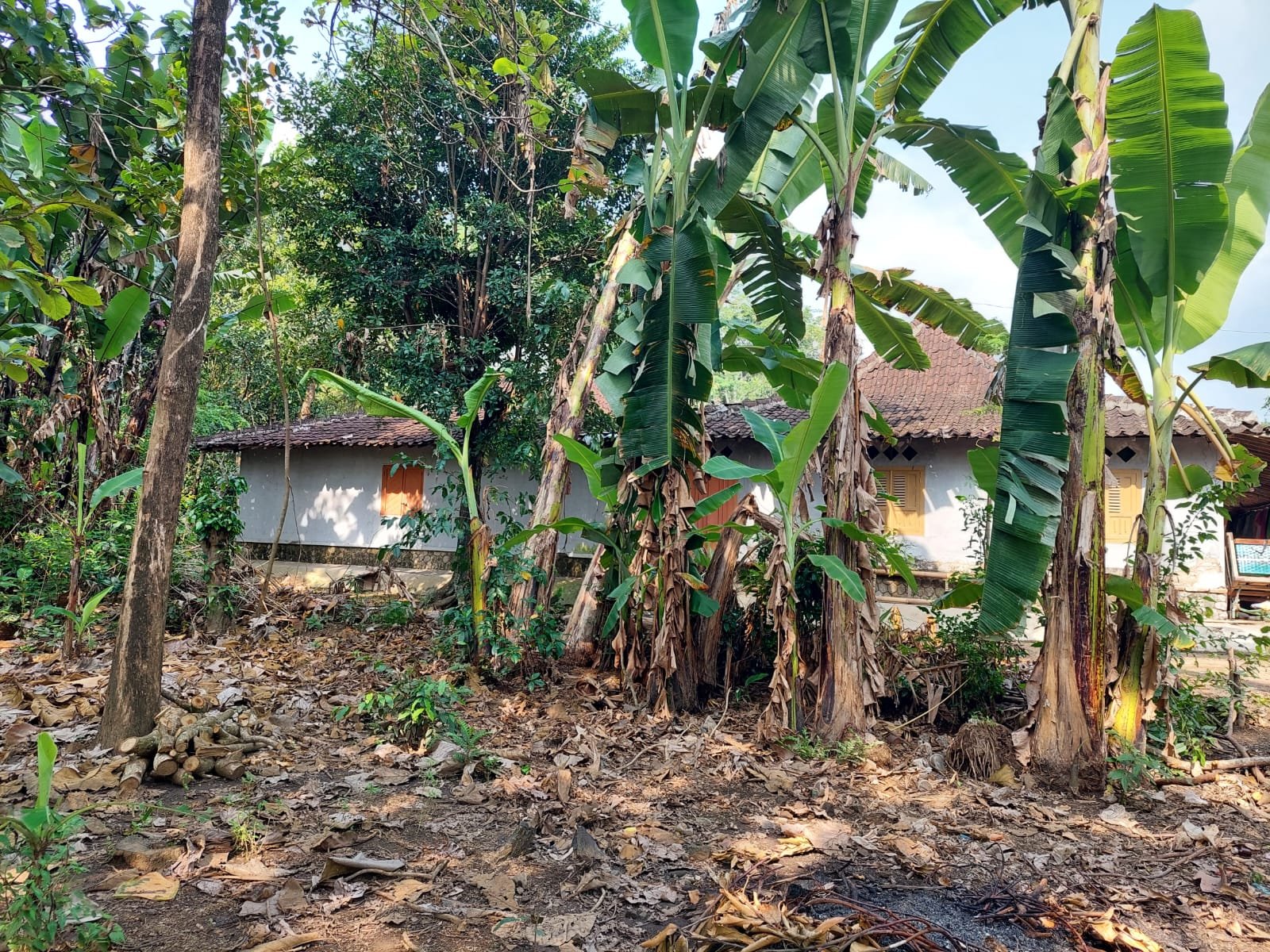 WhatsApp Image 2023-03-31 at 14.28.01 (1)