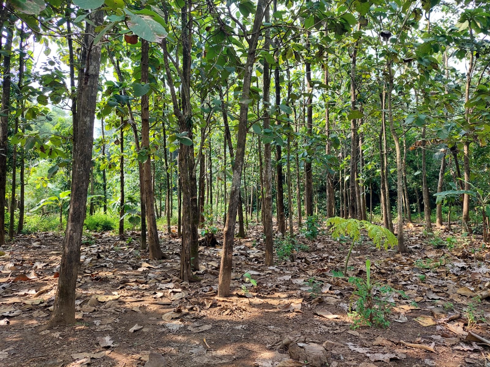 WhatsApp Image 2023-03-31 at 14.28.01