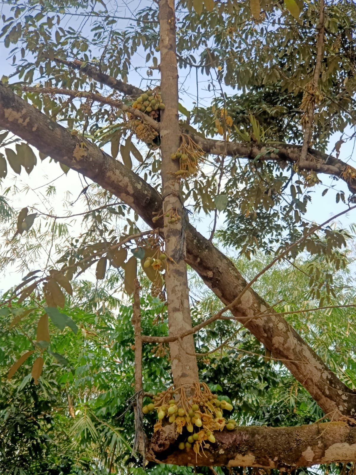 WhatsApp Image 2023-09-13 at 16.59.30 (1)