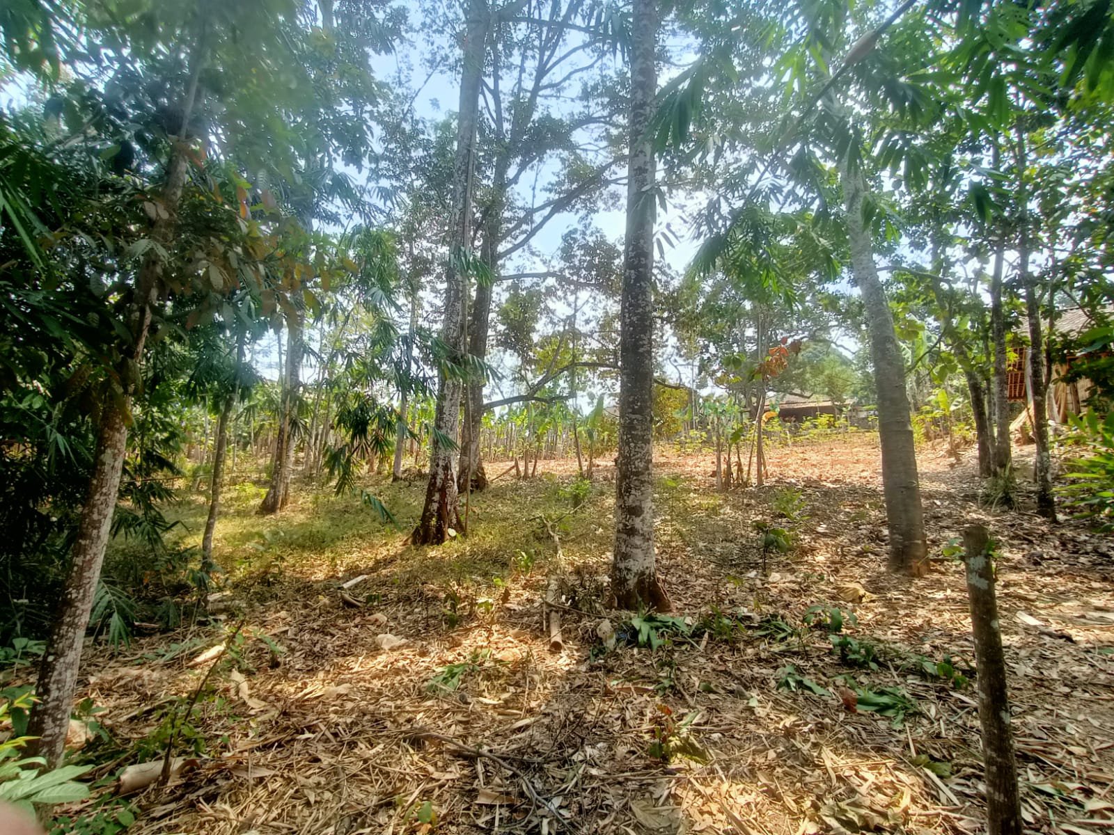 WhatsApp Image 2023-09-13 at 16.59.30 (2)