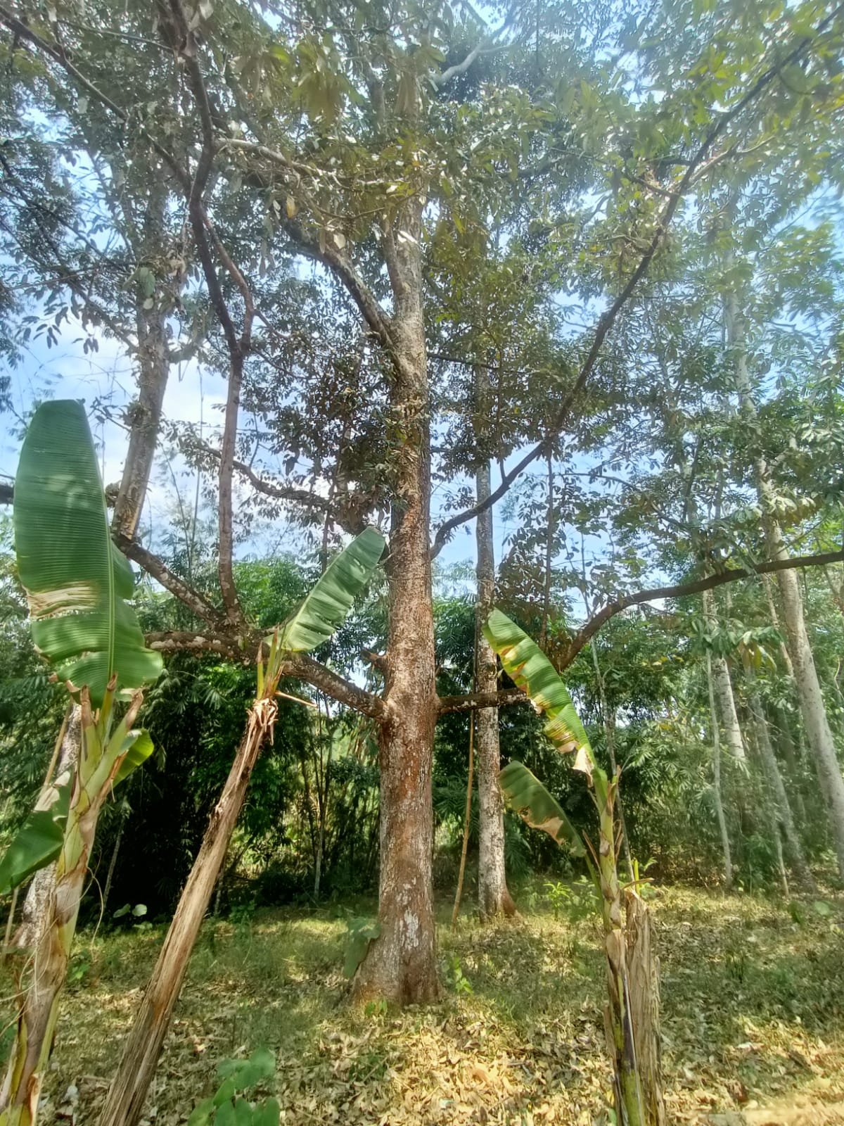 WhatsApp Image 2023-09-13 at 16.59.30