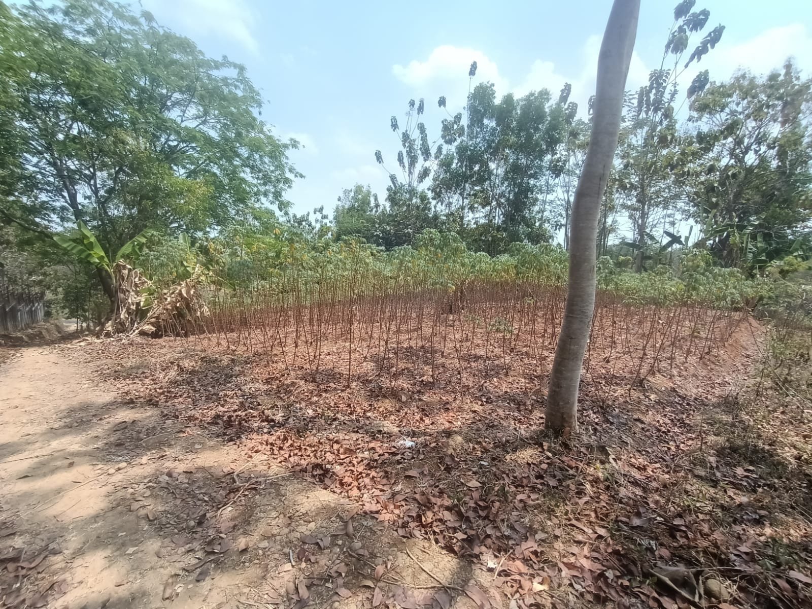 WhatsApp Image 2023-09-13 at 16.59.31 (1)