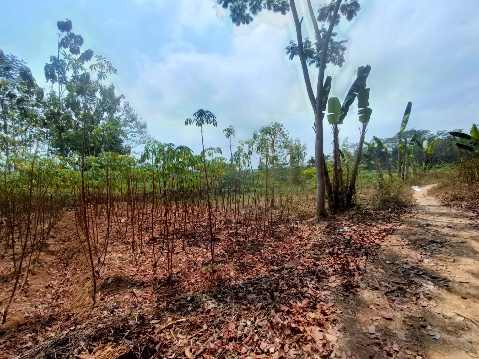 WhatsApp Image 2023-09-13 at 16.59.31