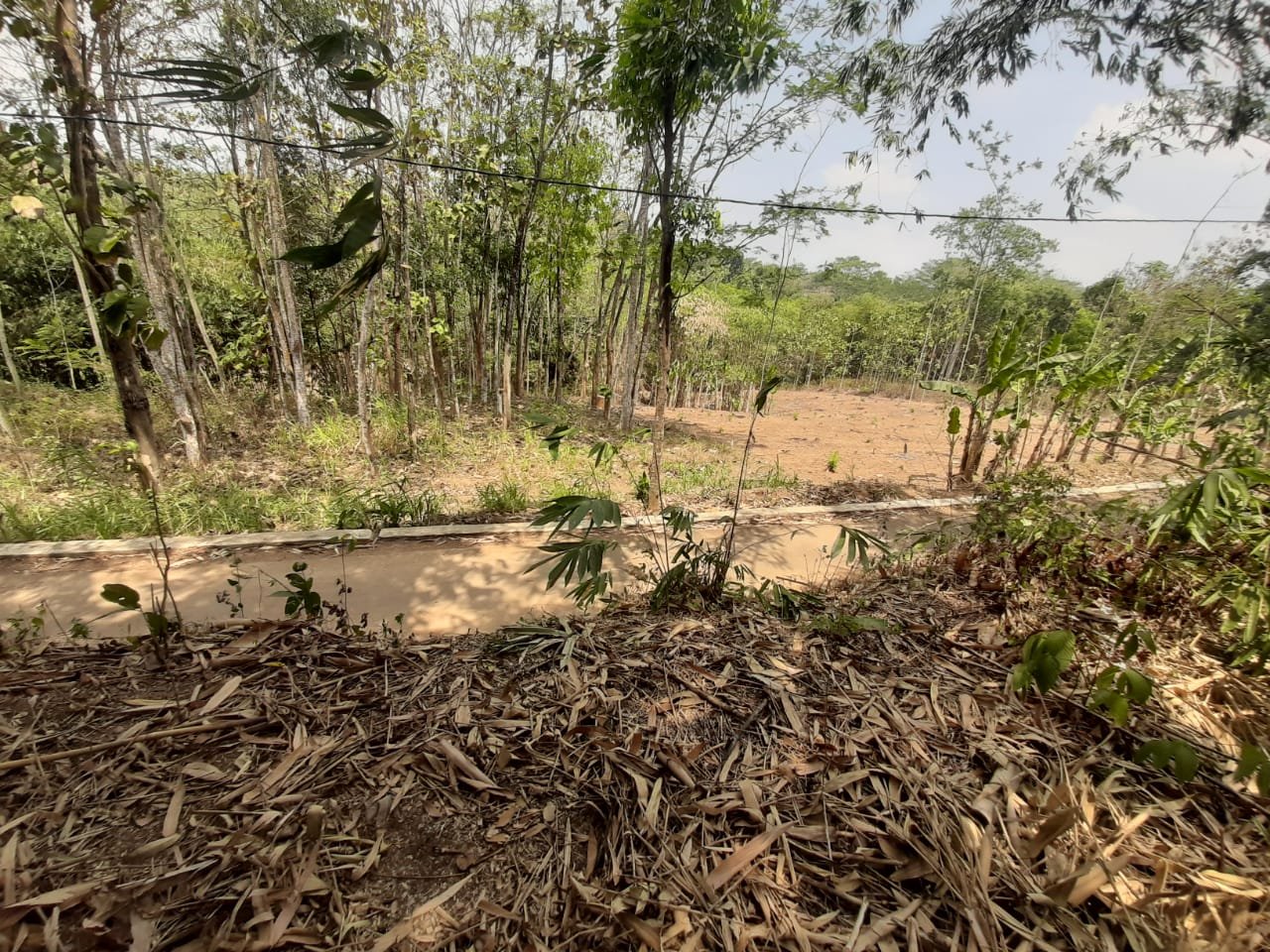 WhatsApp Image 2023-09-13 at 17.12.50 (1)