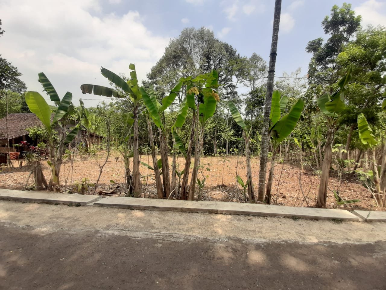 WhatsApp Image 2023-09-13 at 17.12.50