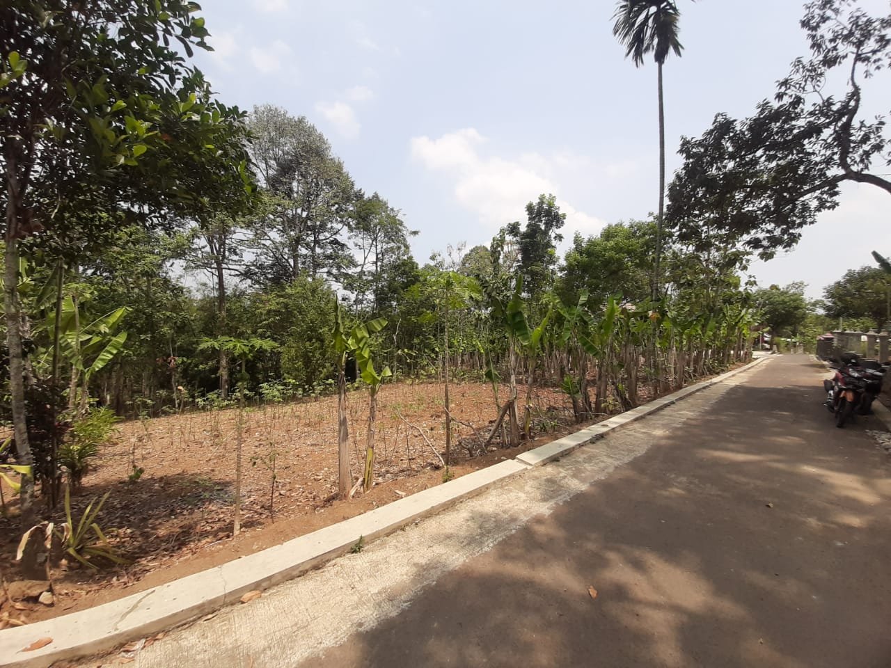 WhatsApp Image 2023-09-13 at 17.12.51