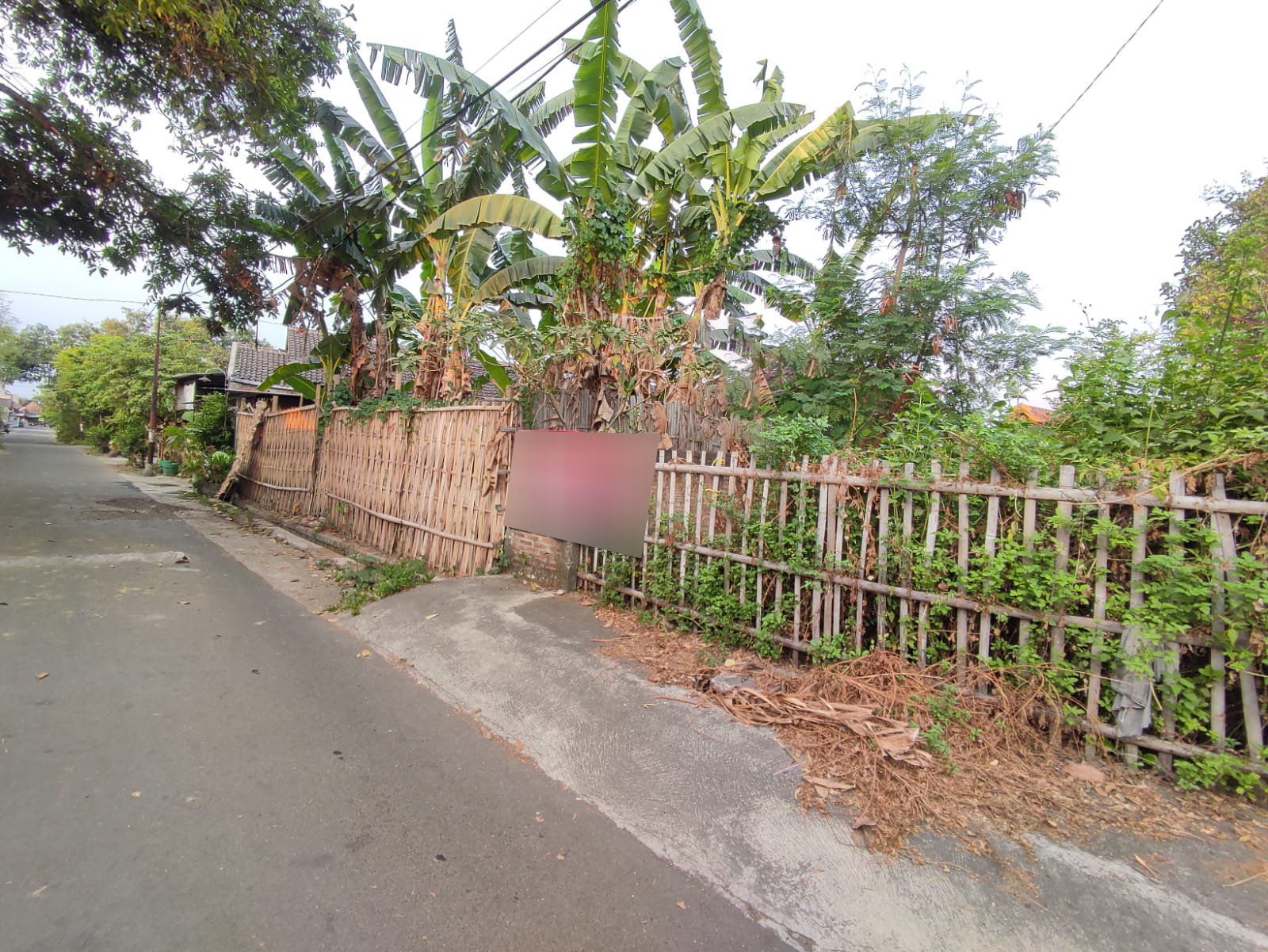 WhatsApp Image 2023-10-20 at 09.03.05 (1) copy