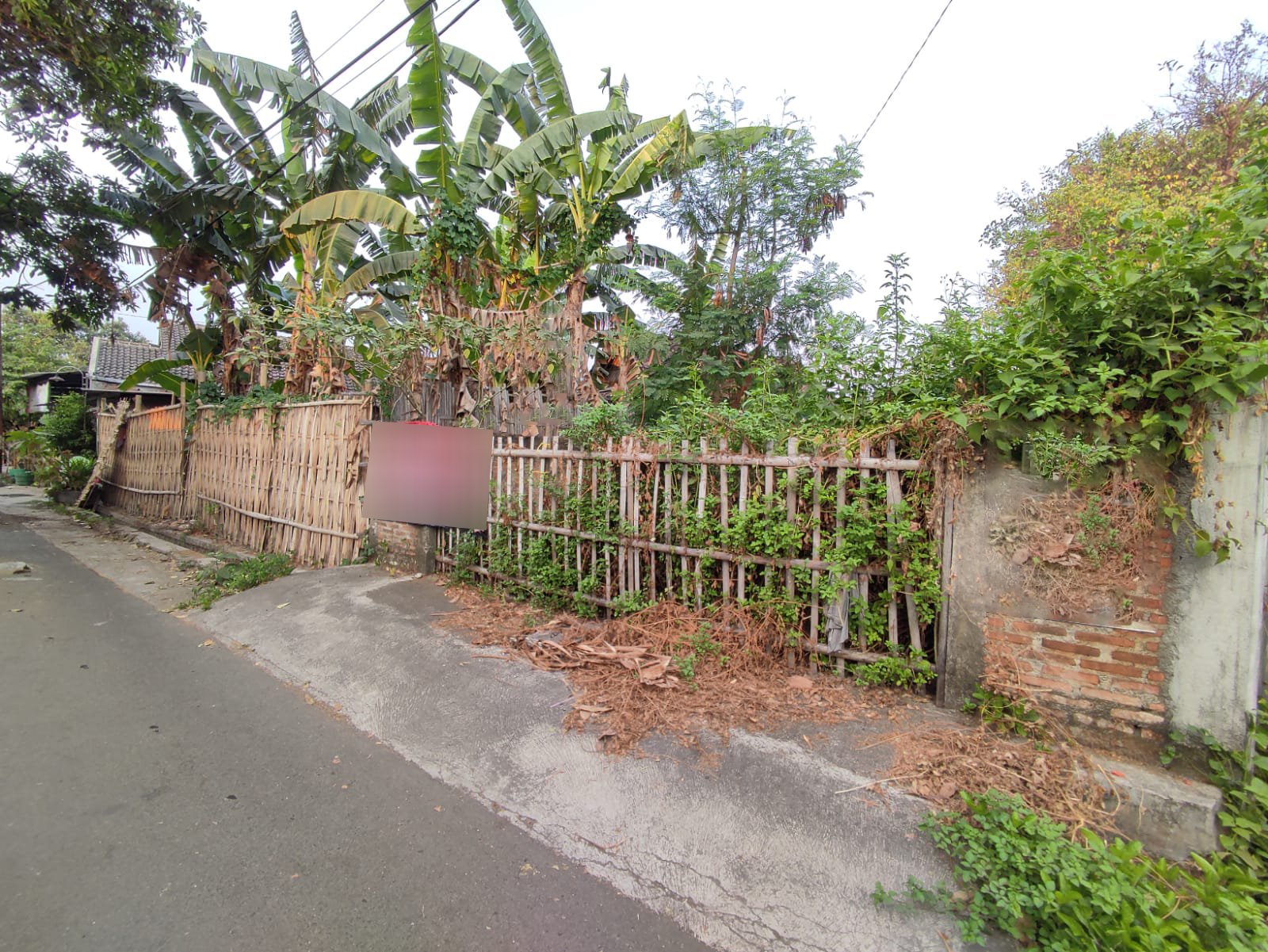 WhatsApp Image 2023-10-20 at 09.03.05 copy