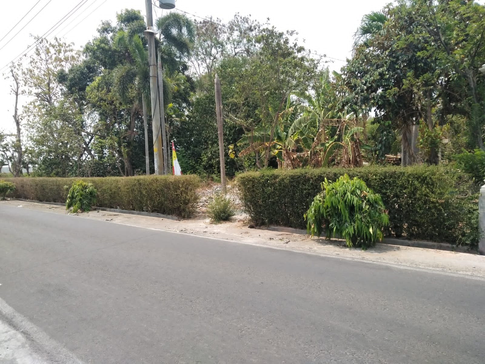 WhatsApp Image 2023-10-30 at 09.45.24