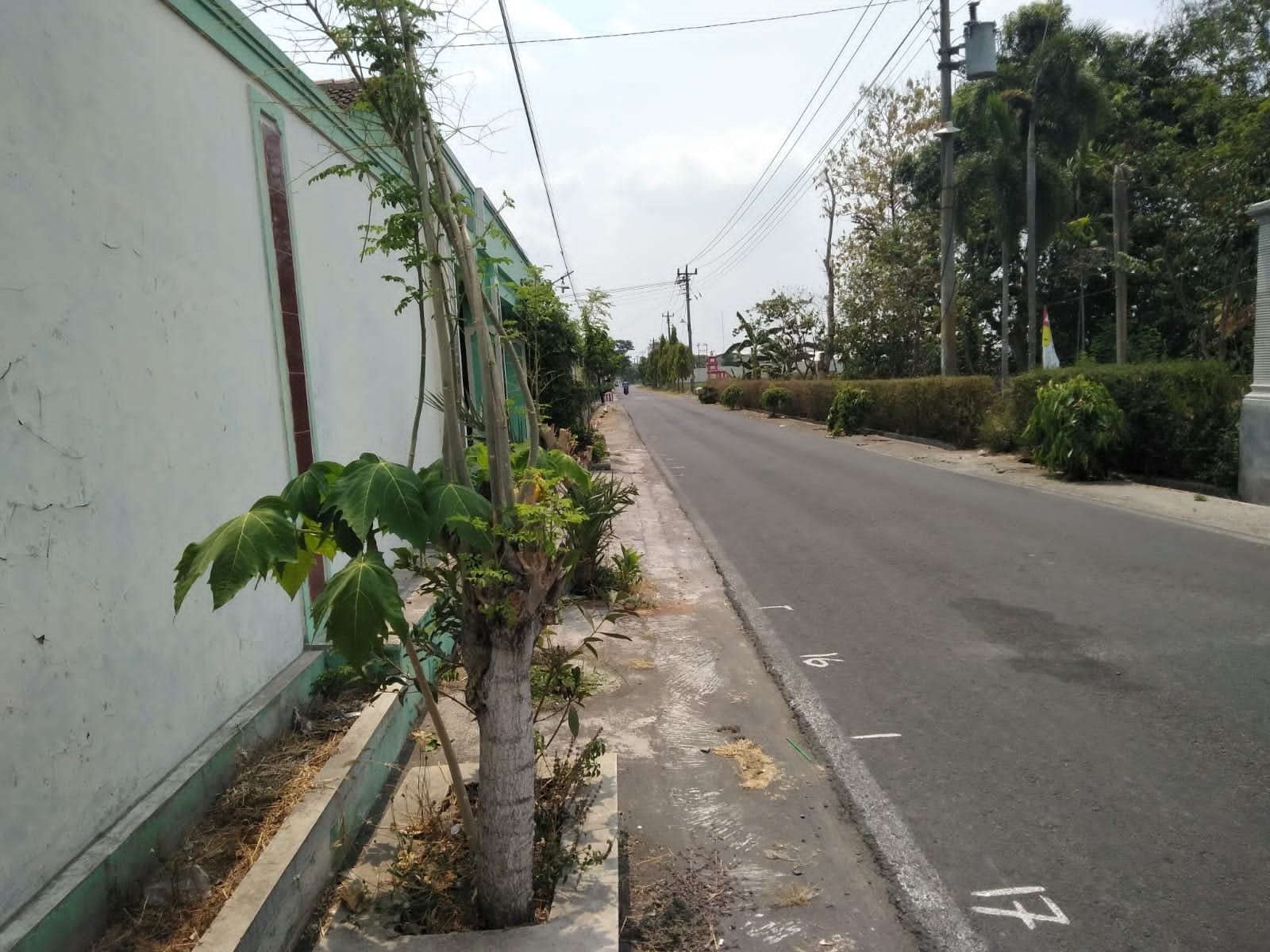 WhatsApp Image 2023-10-30 at 09.46.16