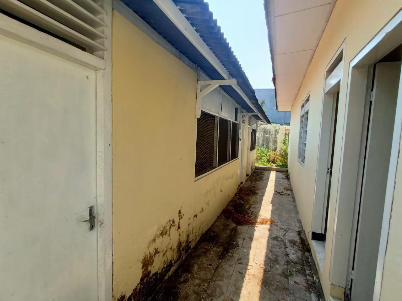 WhatsApp Image 2023-11-02 at 23.43.30