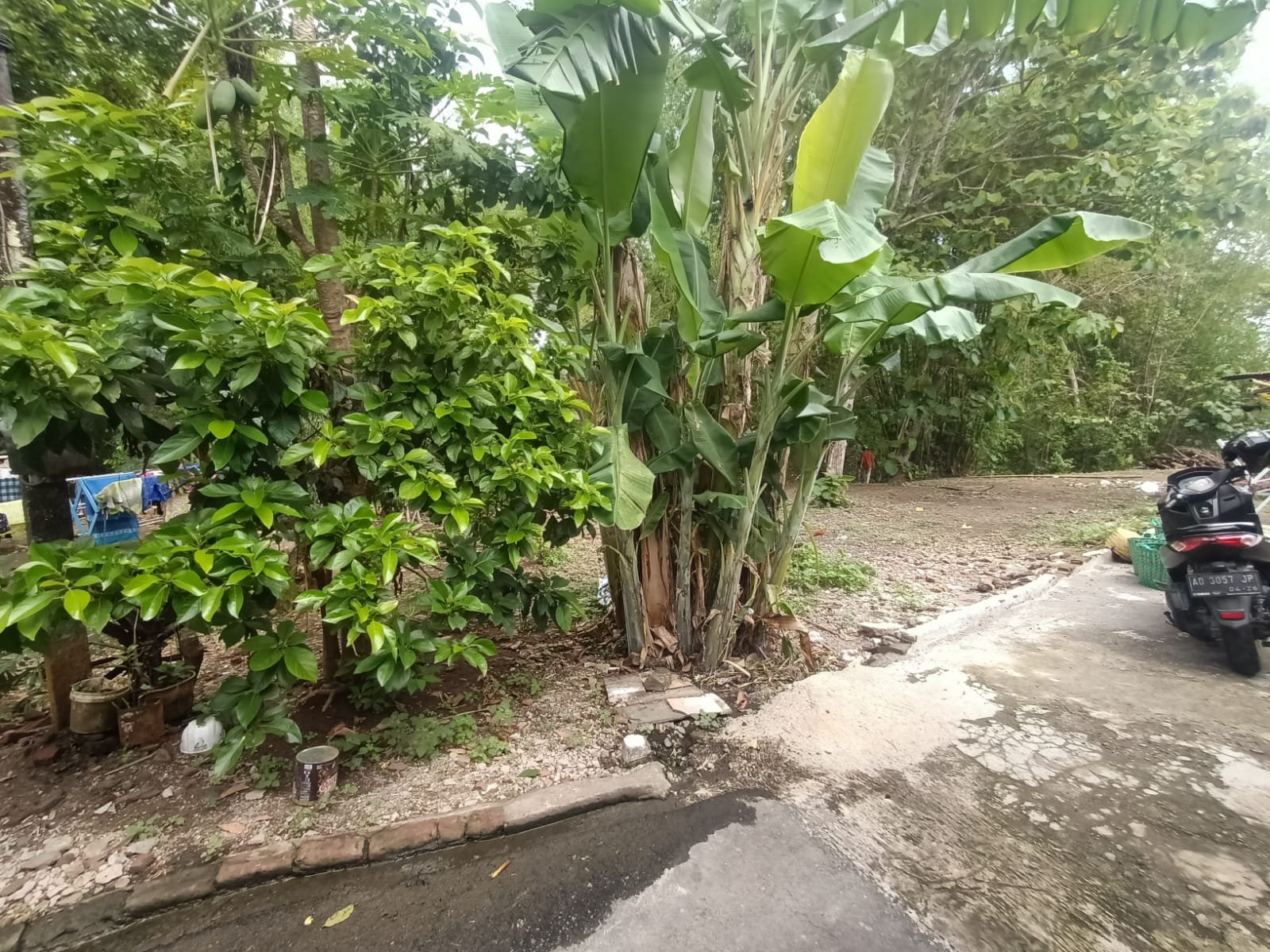 WhatsApp Image 2023-12-06 at 12.05.13 (1)